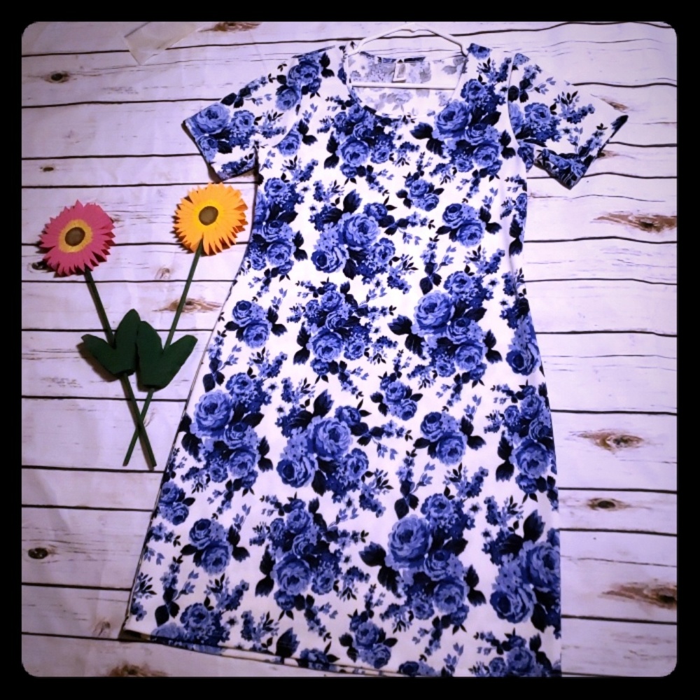 ⚘ 2 for $12 ⚘Honey & Lace Dress